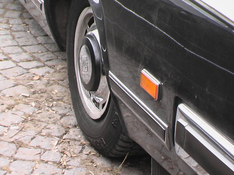IMGA0296m.jpg