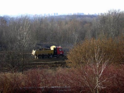 Resize of DSCN1616.JPG