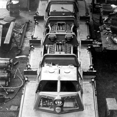 Motorojítko obecné.jpg