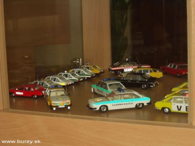 T613_policie.jpg