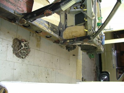 DSCF7315.jpg