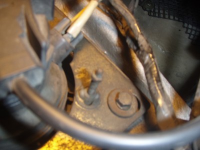 P6052281zm.JPG