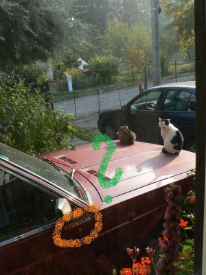 miroslav štěpán.jpg