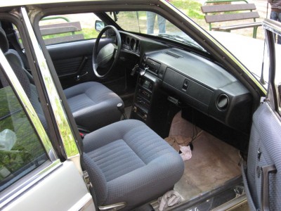 tdt2009 037.jpg