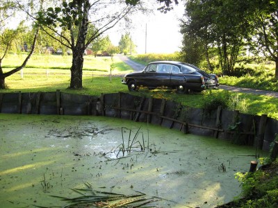kačok.jpg