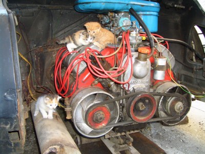 CIMG8327.jpg