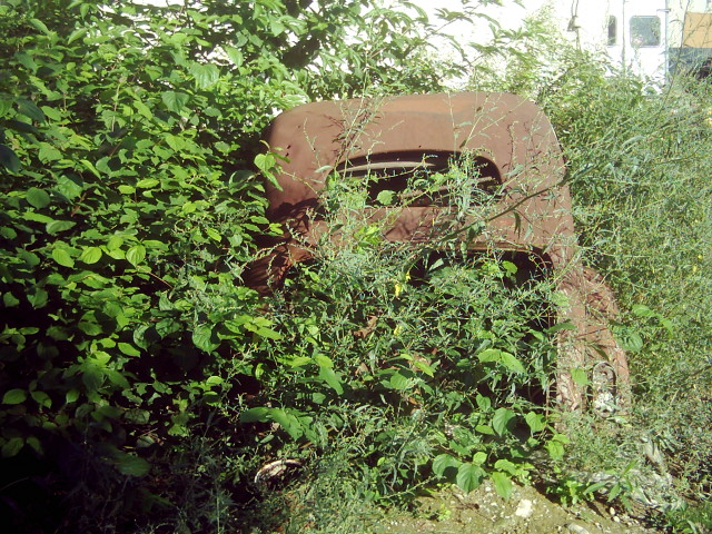 DSCI0052.JPG