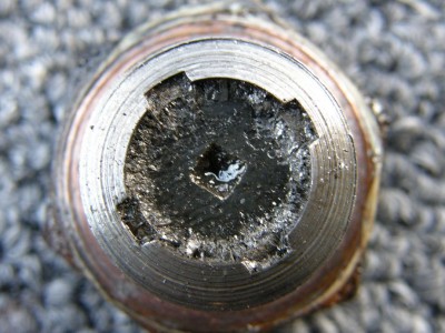 PB280807.JPG