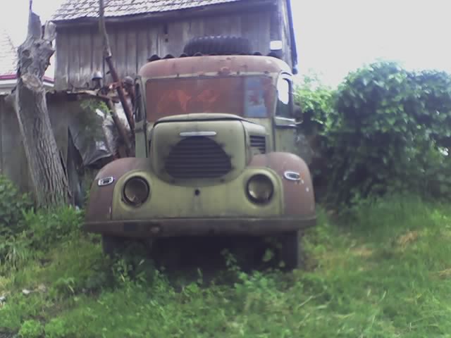 11-06-05_1157.jpg