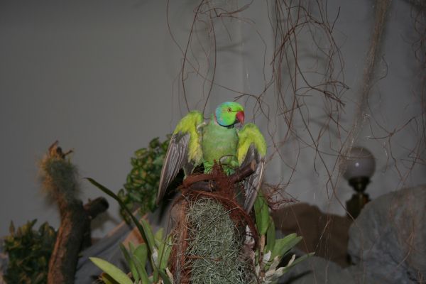 IMG_1061.JPG