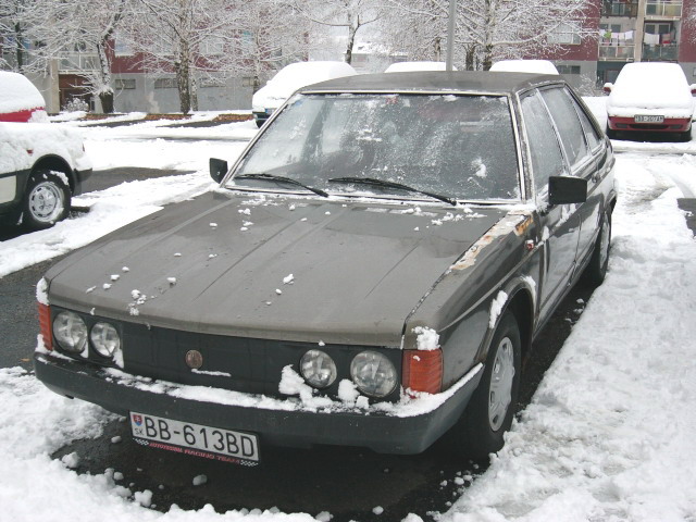 P1040542.jpg