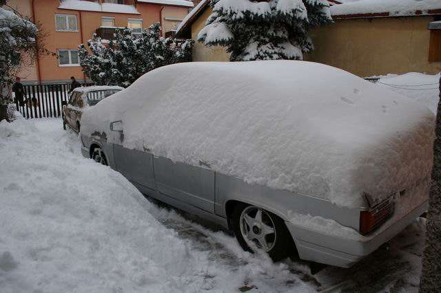 Resize of IMG_1032.JPG