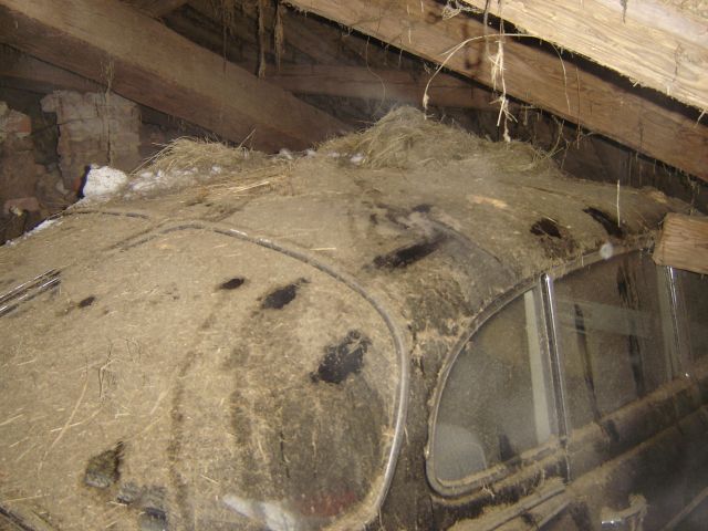 DSC03200.JPG