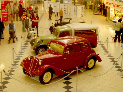 Austrotatra.jpg