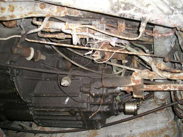 zadek část přev..jpg