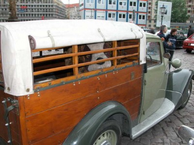 db_schellerhau121.jpg (43.37 KiB) 10761 zobrazení db_schellerhau121.jpg