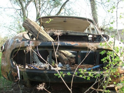 DSCF2126.jpg