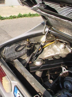 IMGA0198m.JPG