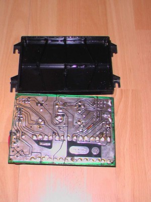IMGA0484.JPG