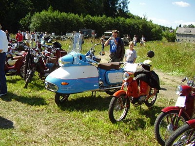 nanuk a pařezy.jpg